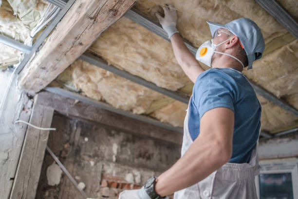 Best Insulation for Specific Applications in Craig, AK