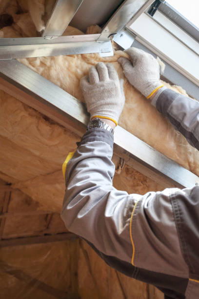 Types of Insulation We Offer in Craig, AK